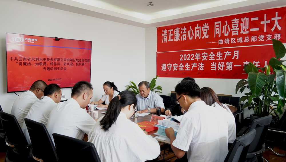 圖片312：“講廉潔、知敬畏、轉作風(fēng)、防風(fēng)險、促發(fā)展”專(zhuān)題組織生活會(huì ).jpg_副本.jpg